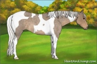 Horse Color:Silver Smoky Blue Roan Tobiano 