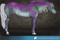 Horse Color:Silver Black Chinchilla 