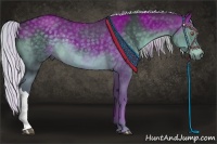 Horse Color:Silver Black Chinchilla 