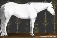 Horse Color:Liver Chestnut Appaloosa 