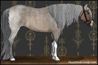 Horse Color:Brown Roan Dun 