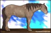 Horse Color:Classic Champagne