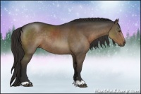 Horse Color:Liver Chestnut Rabicano 