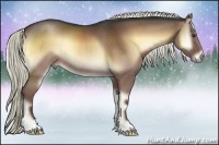Horse Color:Liver Red Onyx Rabicano 