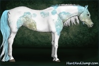 Horse Color:Watercolor Brown Ice Tobiano