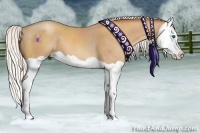 Horse Color:Silver Amber Champagne Splash