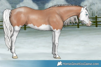 Horse Color:Silver Amber Champagne Splash 