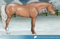 Horse Color:Silver Sable Champagne
