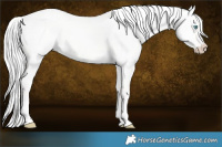 Horse Color:Cremello Dun 