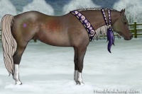 Horse Color:Silver Brown 