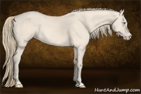 Horse Color:Perlino  and Perlino 