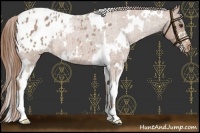 Horse Color:White Spotted Red Roan Blanket 
