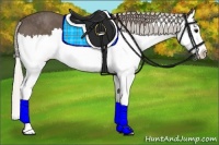 Horse Color:Silver Black Splash