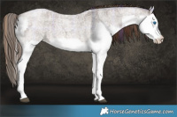 Horse Color:Plaid  White Spotted Liver Red Roan Splash 