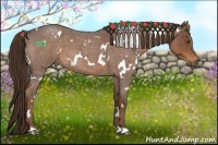 Horse Color:White Spotted Liver Red Roan 