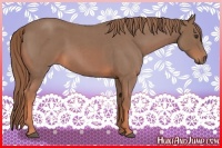 Horse Color:Watercolor Red Roan