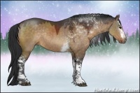 Horse Color:White Spotted Bay Dun Sabino Rabicano 