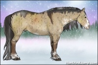 Horse Color:Liver Red Dun Sabino Splash Rabicano