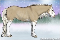 Horse Color:Liver Red Dun Sabino Splash Rabicano