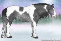 Horse Color:Brown Chinchilla Ice Sabino Splash Tobiano 