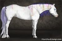 Horse Color:Watercolor Bay Ice Roan Onyx Splash