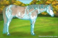 Horse Color:Thunderstruck Chestnut Ice Splash Rabicano 