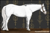 Horse Color:Cremello Near Fewspot 