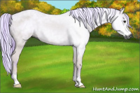 Horse Color:Gray Watercolor Bay Rabicano 