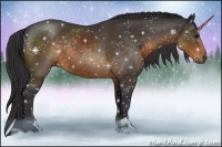 Horse Color:Buckskin Sabino Rabicano 