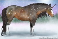 Horse Color:White Spotted Buckskin Appaloosa 