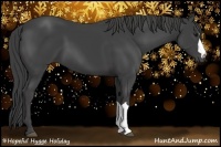 Horse Color:Smoky Black 