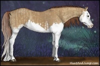 Horse Color:Red Dun Splash and Red Dun Splash