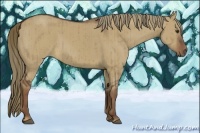 Horse Color:Liver Red Dun Brindle 