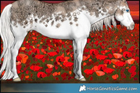 Horse Color:Chocolate Silver Brown Ice Pearl Dun Splash 