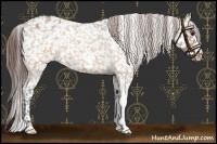 Horse Color:Brown Roan Dun Snowflake Varnish 