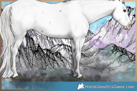Horse Color:Silver Brown Snowcap 