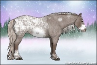 Horse Color:Silver Blue Ice Roan Sabino Frame Rabicano 