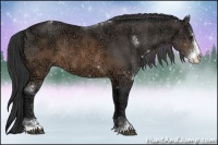 Horse Color:Buckskin Ice Sabino 