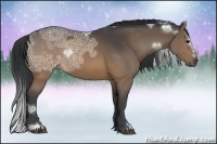 Horse Color:Brown Ice Sabino Rabicano 