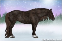 Horse Color:Liver Chestnut Ice Rabicano