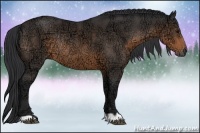 Horse Color:Buckskin Ice Rabicano
