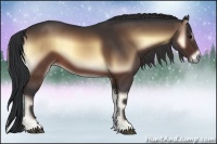 Horse Color:Brown Onyx