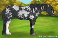 Horse Color:Black Ice