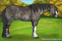 Horse Color:Grullo Ice Onyx 