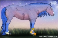 Horse Color:Watercolor Bay Ice Sabino