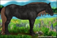 Horse Color:Liver Chestnut Ice Rabicano