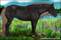 Horse Color:Liver Chestnut Ice Rabicano