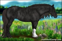 Horse Color:Liver Chestnut Ice Rabicano