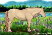 Horse Color:Gold Champagne Dun Sabino 
