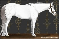 Horse Color:White Spotted Bay Blanket 